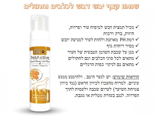 שמפו קצף יבש דבש לכלבים וחתולים